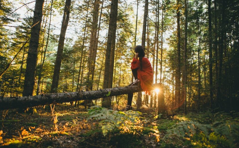 Grønne Rejser: En Bæredygtig Fremtid med Travelgreen.dk