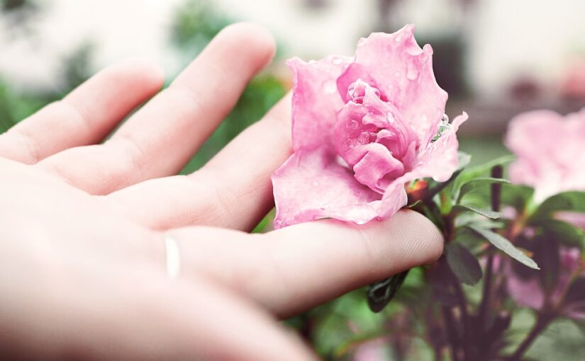 Fordelene ved at Bruge en Dedikeret Server til Din Virksomhed