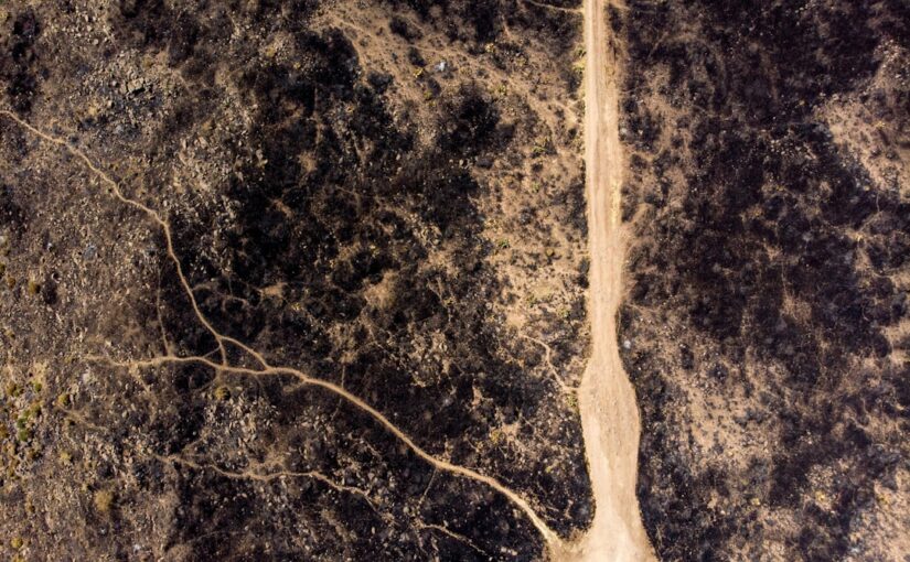 Forståelse af Neuropati: En Guide til Nerveforstyrrelser