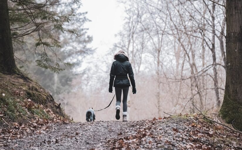 Hundeluftning – Giv Din Hund Den Bedste Oplevelse